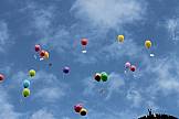 Fliege Wettbewerb Luftballon