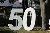 Holz 50