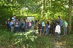 Schüler bei der Sternwanderung