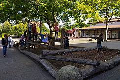 Kinder balancieren auf Baumstämmen
